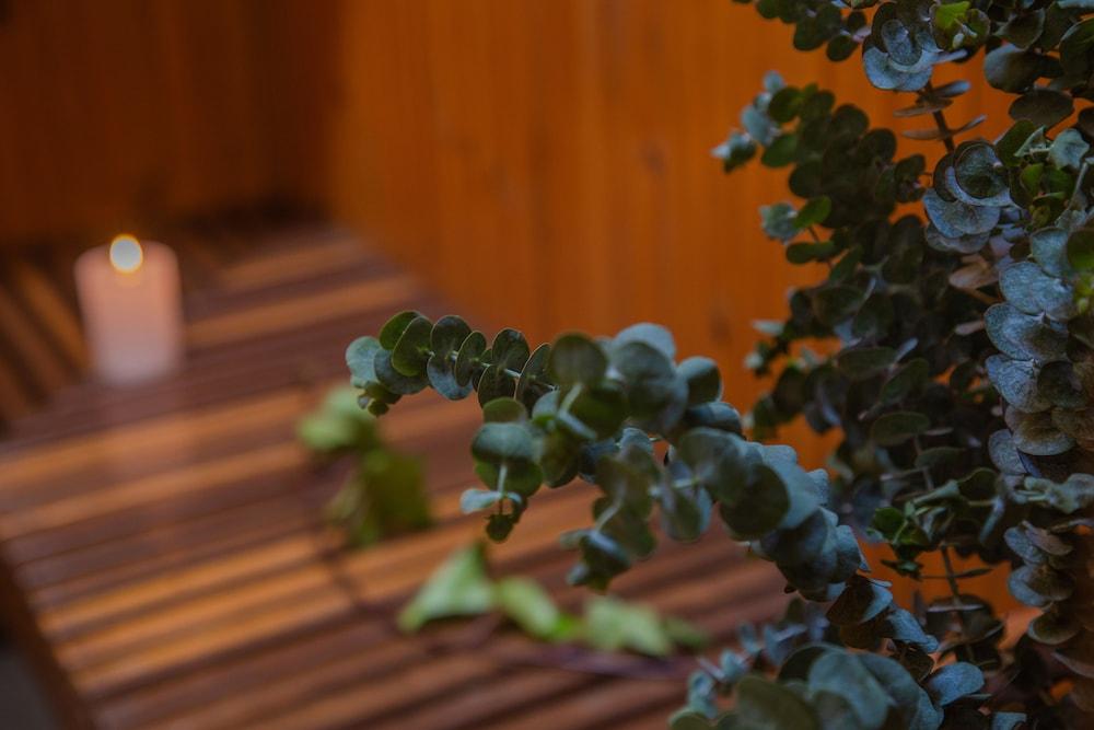 Hotel Muisca ボゴタ エクステリア 写真